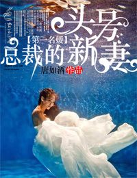 京城第一名媛总裁的头号新妻
